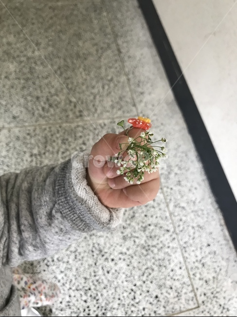 아기손,아기,선물,꽃,순수함