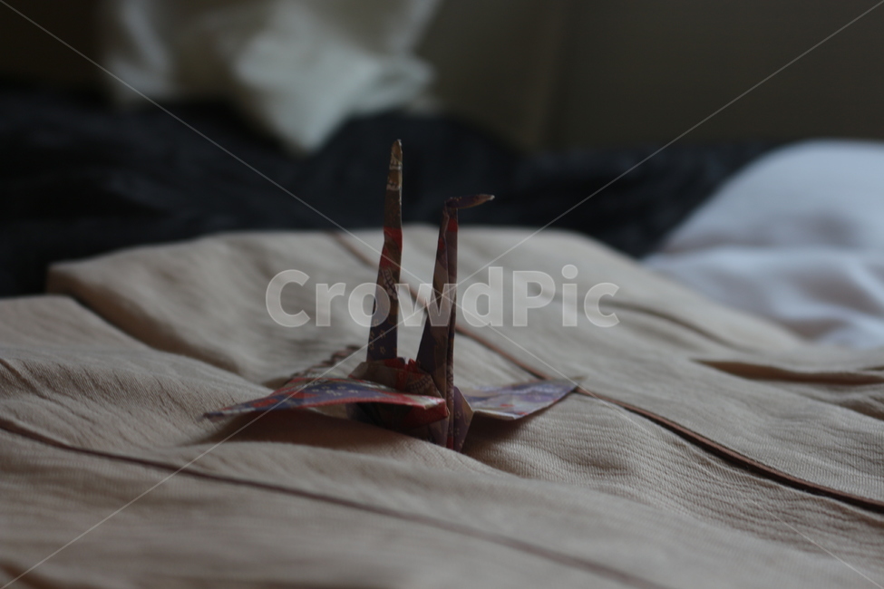 종이학,호텔,자유,아름다움,날개