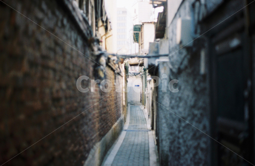 골목길,필름,종로,벽,골목,서울,골목길,alley,road,도로,urban,어반,town,도시,city,시티,street,거리,building,건물,alleyway
