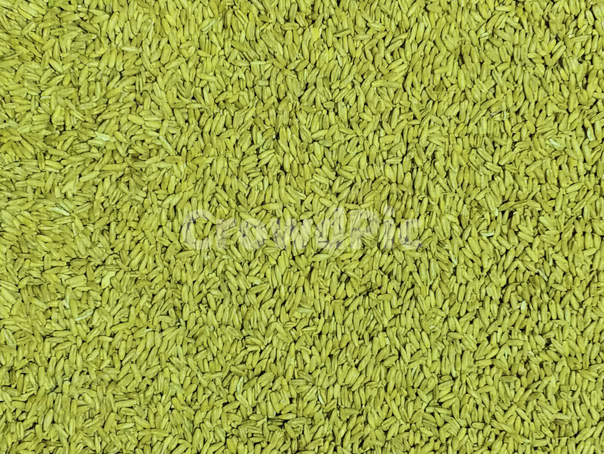 밀,곡식,열매,식물,질감,pattern,texture,배경,곡류,곡식,cereals,텍스처,질감,패턴,texture,pattern