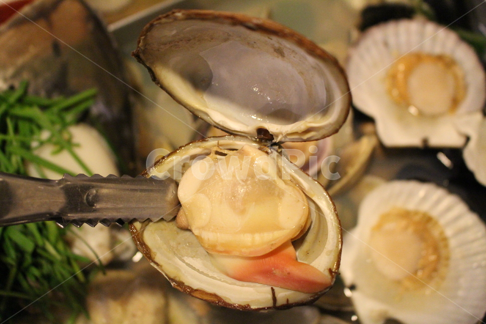 조개,해산물,조개찜,shell,seashell,음식,식재료,요리,food,cook,meal,dishes,food reserves