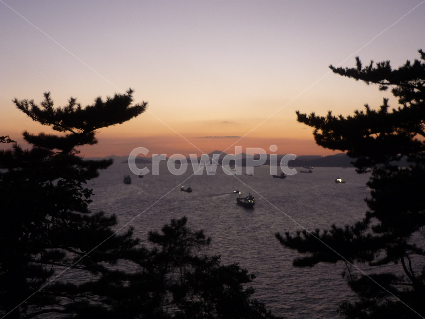 부산,태종대,야경,나무,배,밤,자연,풍경,nature,landscape,outdoors,옥외,tree,plant,식물