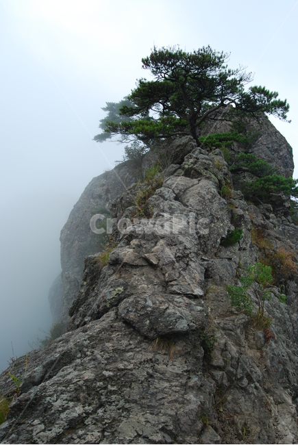 구병산,보은군,야생화,100대명산,등산로,능선,돌,자연,등산,계절,한국명산,한국등산,풍경,나무,하늘,자연,풍경,nature,landscape,한국자연풍경,한국자연경관,korea nature landscape,cliff,낭떠러지,outdoors,옥외