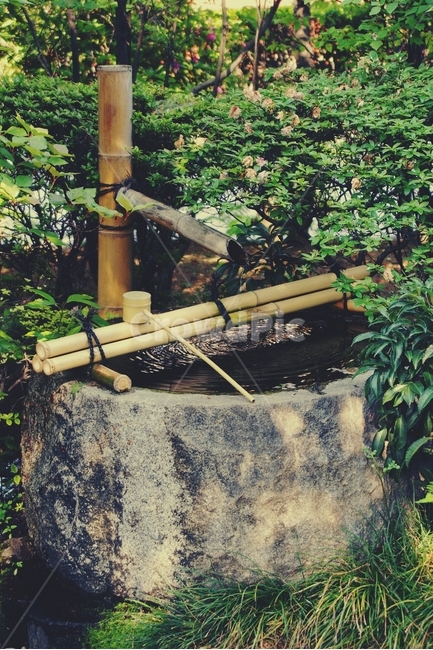 대나무,bamboo,연못,소리,sound,일본,전통,japan,traditional,감성,sensible,feeling,휴식,힐링,rest,relaxation,healing