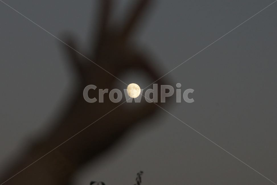 달,야경,오케이,통과,달빛,토끼,야경,밤,풍경,nightscape,night,landscape,nature,자연,outdoors,옥외