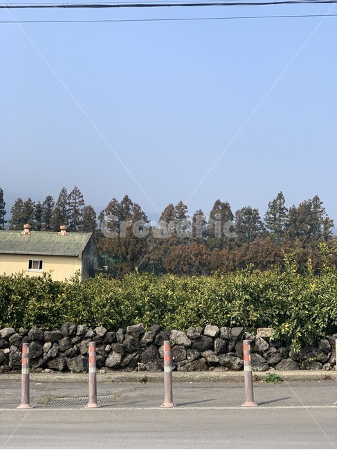 잔디,길,거리,풀,대칭,도시,풍경,city,landscape