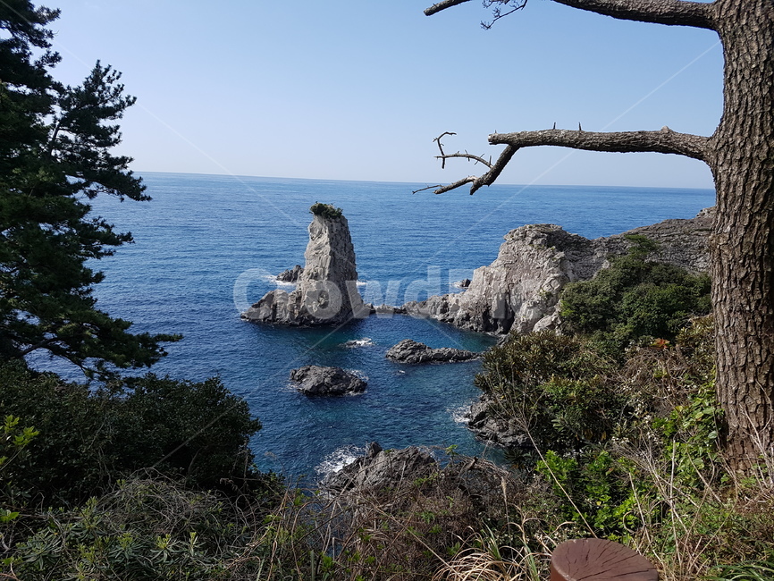 제주도,외돌개,둘레길,바닷가둘레길,산책길,절경,바닷가,자연,풍경,nature,landscape,한국자연풍경,한국자연경관,korea nature landscape,제주도,jeju,jeju island,promontory,곶