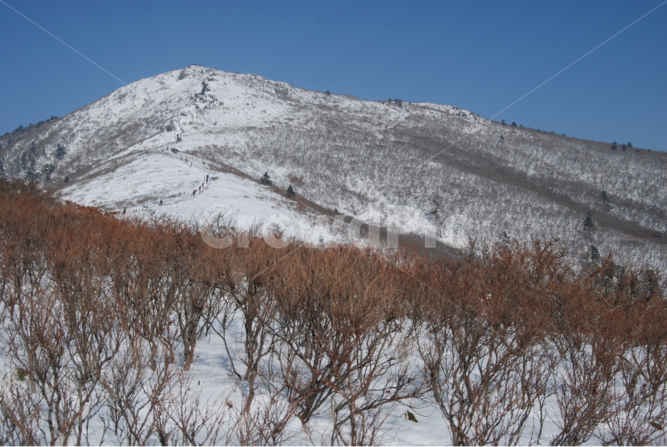 눈,snow,겨울,winter,자연,겨울,계절,winter,season,자연,풍경,nature,landscape,outdoors,옥외,slope,경사