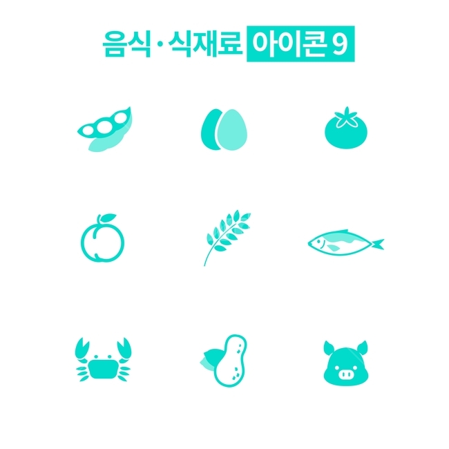 infographics,icon,아이콘,백터,벡터,vector,벡터아이콘,백터아이콘,음식,식재료,인포그래픽,그래픽,일러스트레이션,graphic,illustration,아이콘,icon