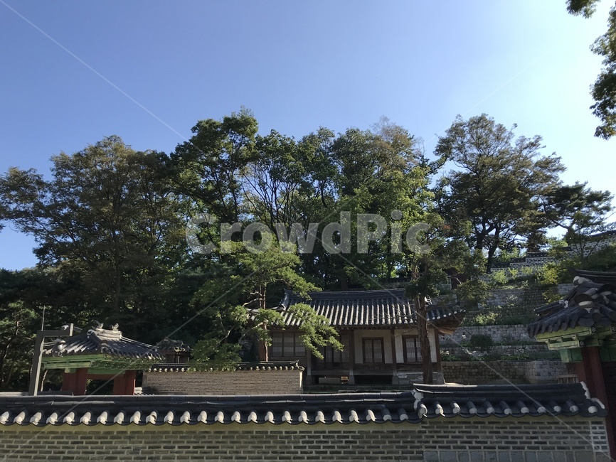 창덕궁,창덕궁후원,창덕궁전각,changdeokgung,창덕궁내부,한국전통,한국문화,korean traditional,korean culture,건축물,건물외관,exterior,building,structure,architecture,construction