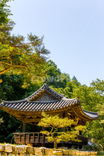 정자,누각,문화유산,기와,전통,풍경,한국전통,한국문화,korean traditional,korean culture,휴식,힐링,rest,relaxation,healing,건축물,건물외관,exterior,building,structure,architecture,construction