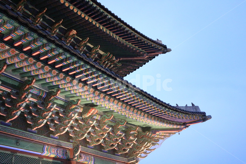경복궁,경복궁야간개장,광화문,문화재,궁궐,랜드마크,한국의랜드마크,대한민국역사박물관,한국문화,한국전통,역사,궁,서울,서울밤,야경,서울야경,기와,건축,건축물,건물,한국적,한국역사,조명,전통,전통적인,전통무늬,처마,왕,왕비,왕족,근현대사,문화,명성황후,고종,근정전,어도,조정,을미사변,웅장한,궁녀,koreantraditional,korean,seoul,nightview,night,gyeongbokgung,palace,culturalheritage,landmark,gwanghwamun,tradition