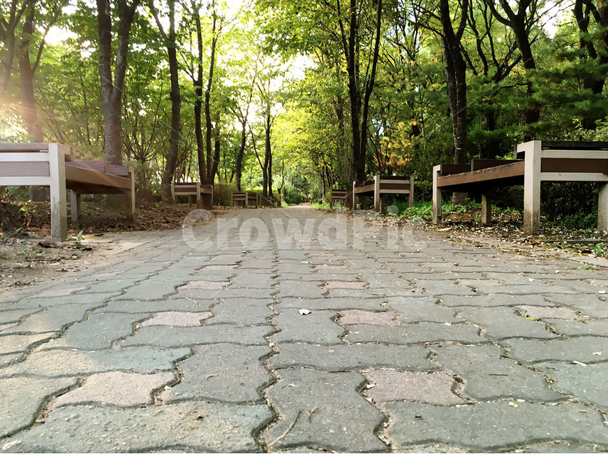 산책길,산책,공원,여유,벤치,야외,길,보도블럭,햇빛,나무,자연,풍경,nature,landscape,flagstone,판석