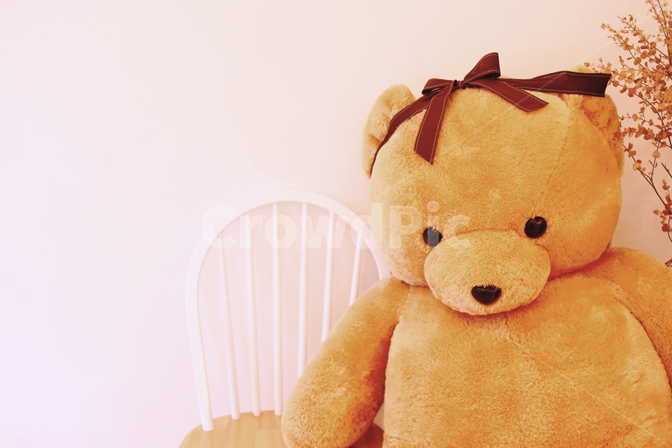 teddybear,테디베어,toy,장난감,인형,사물,물건,오브젝트,thing,object,matter