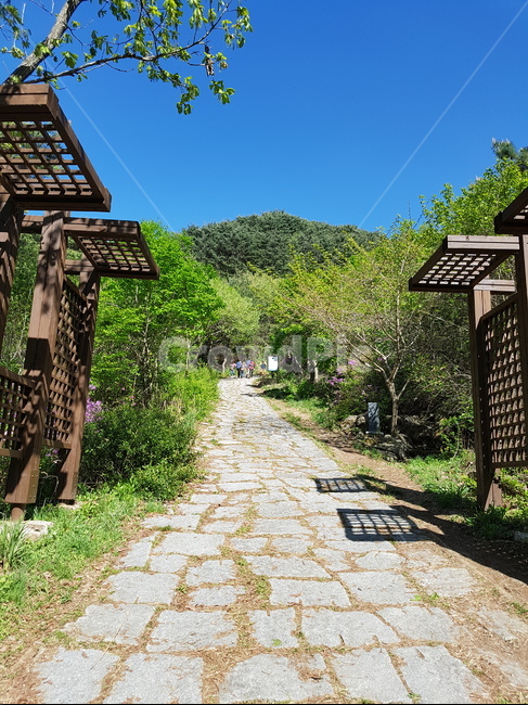 산,산입구,자연,등산,mountain