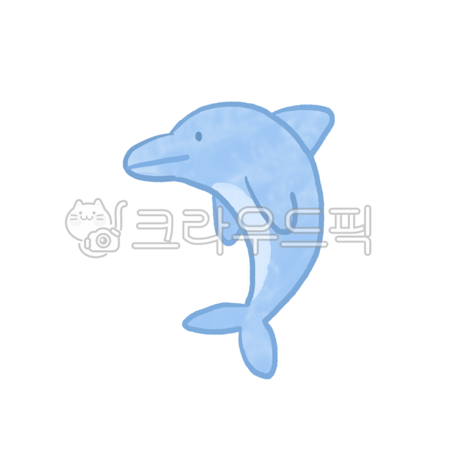 dolphin,ocean,Dolphin,Under the sea,fish,animal,mammalia,summer,marine life