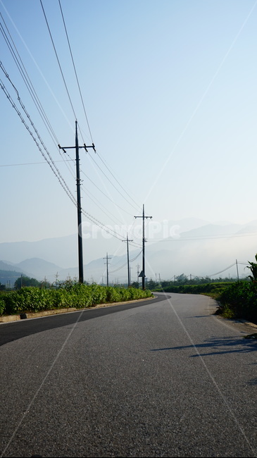 시골,도로,고요,전깃줄,아침,자연,풍경,nature,landscape,asphalt,아스팔트