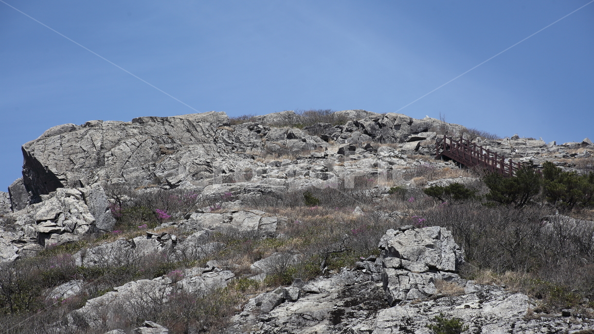 천황산,사자봉,영남알프스,mountain,peak