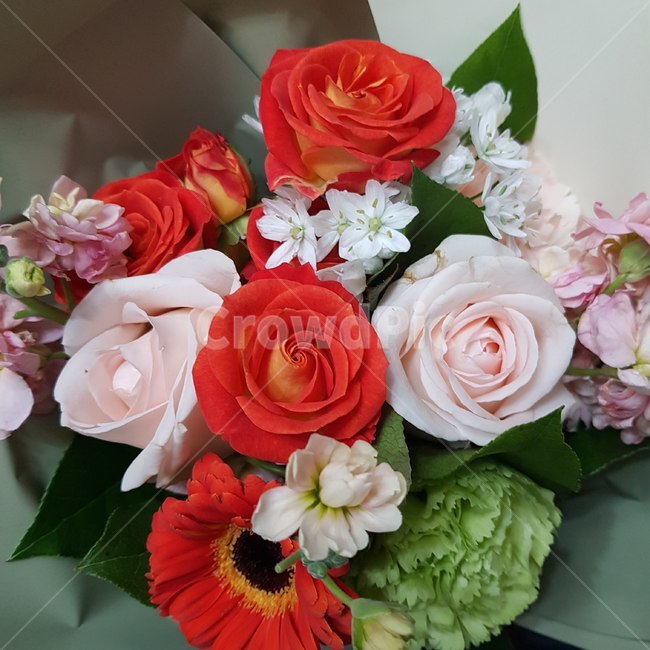 꽃,꽃다발,플로리스트,주황색,소품,장미,식물,자연,plants,nature,꽃,flower,기념일,축하,anniversary,congratulation,celebrate,celebration