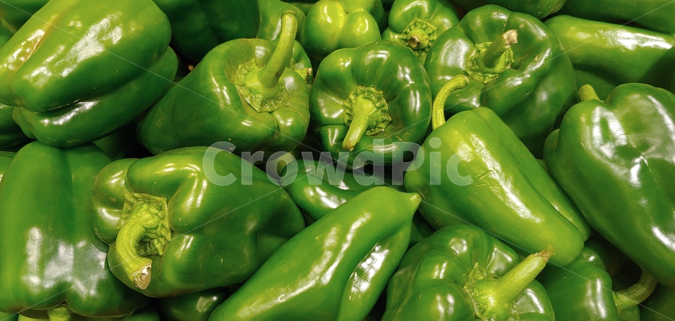 피망,파프리카,capcicum,green,녹색,음식,식재료,요리,food,cook,meal,dishes,food reserves,채소,야채,vegetables