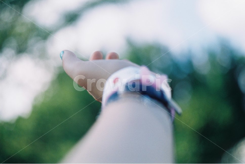 꽃,동백꽃,동백,겨울,손,플레어,플래어,flare,flower,flowers,snoww,winter,hand,보케,몽글몽글,신체일부,몸,body