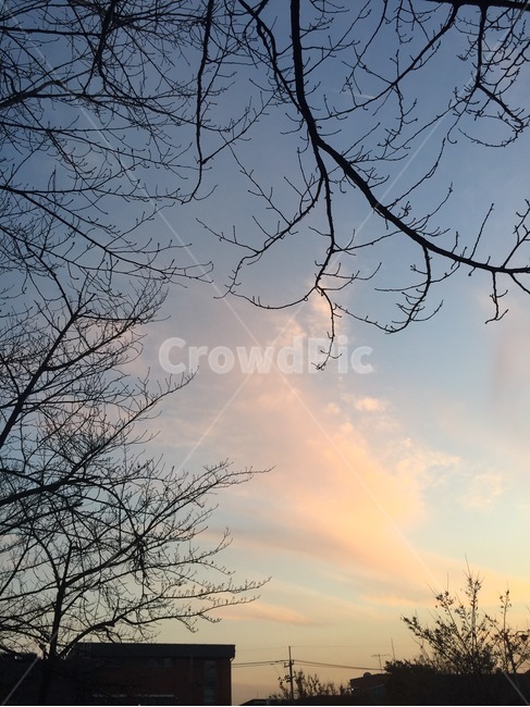 풍경,하늘,구름,노을,outdoors,자연,nature
