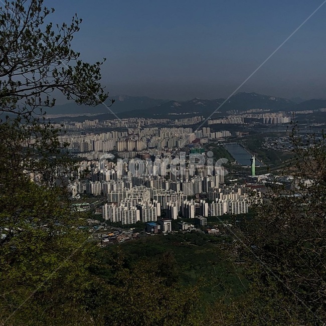 등산,산,아파트,풍경,도시,나무,하늘,자연