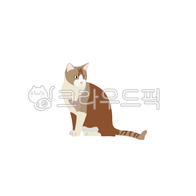 고양이,동물,동물일러스트,귀여운동물,cat,animal,반려묘,캣,고양이그림