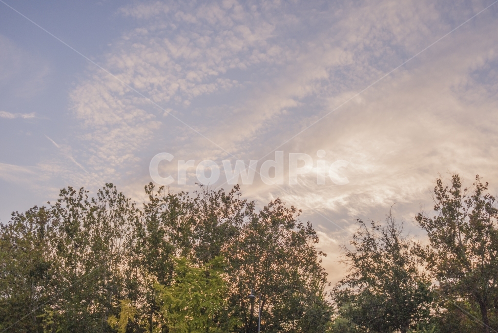 하늘,sky,노을,sunset,풍경,landscape,감성,wood,구름,croud,식물,plant,나무,자연,풍경,nature,landscape,outdoors,옥외,weather,날씨