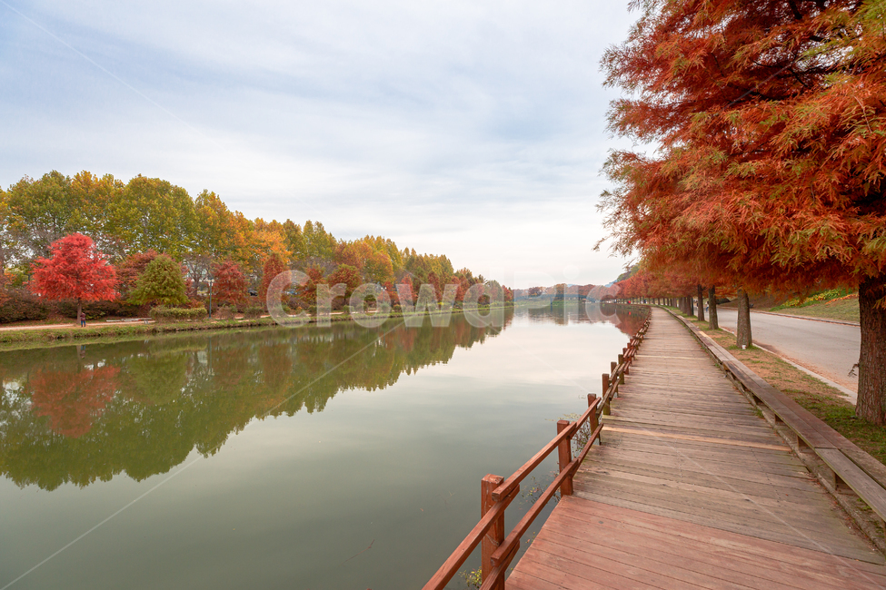 낙엽,가을,단풍,관방제림,반영,water,물,railing,난간,가을풍경,강,가을,계절,fall,autumn,season