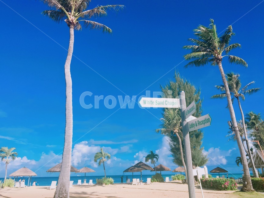 사이판,바다,휴양지,파랑,하늘,saipan,blue,sky,island,표지판,열대수,sign,해변,바다,beach,sea