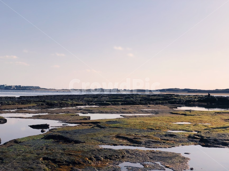 제주도,겨울,바다,수평선,돌,자연,풍경,nature,landscape,제주도,jeju,jeju island,outdoors,옥외,land,땅