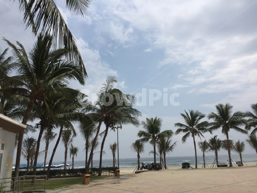 summer,여름,tropical,열렬한,미케비치해변,mikebeach,danang,vietnam,해변,바다,beach,sea