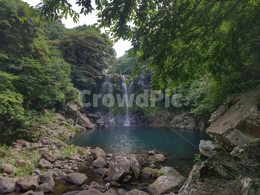 자연,제주도,폭포,정방폭포,나무,자연,풍경,nature,landscape,한국자연풍경,한국자연경관,korea nature landscape,제주도,jeju,jeju island,water,물,outdoors,옥외,river,강,waterfall