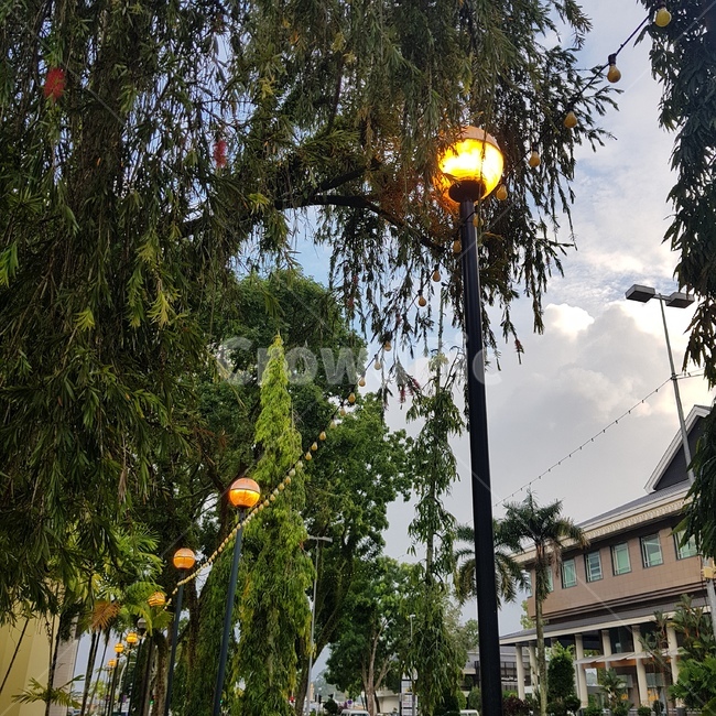초저녁,가로등,길거리,street,light,도시,풍경,city,landscape