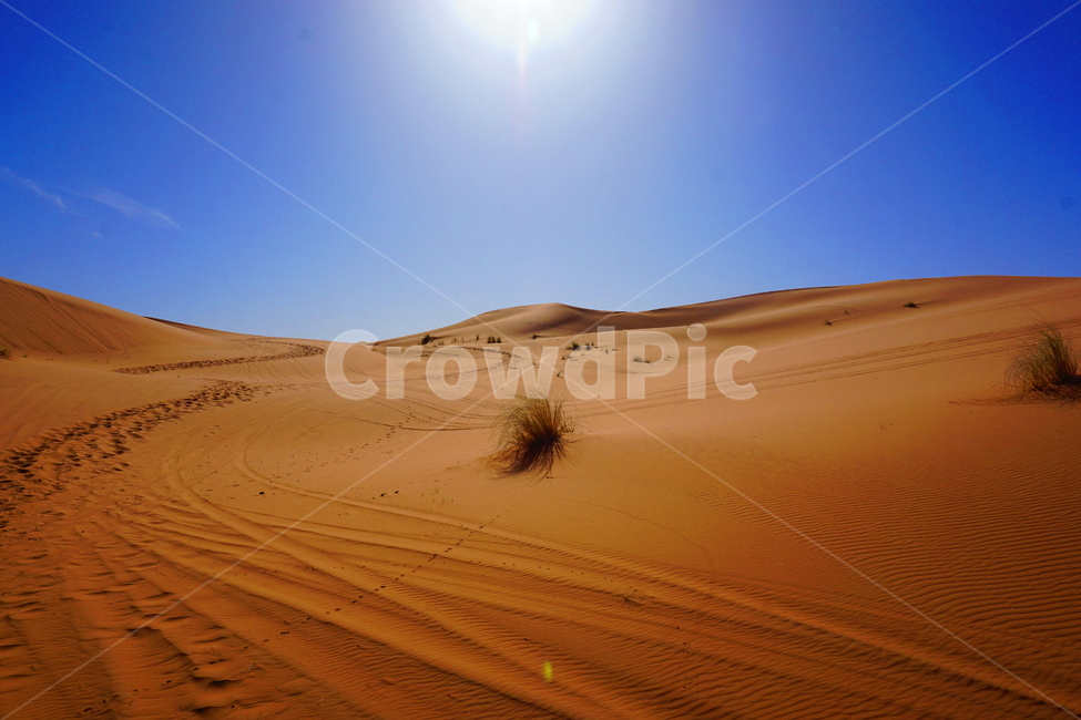 모래,sand,사막,사하라,모래언덕,outdoors,옥외,푸른하늘,땡볕,햇볕,열기,더위,desert,sahara,sunset,자연,풍경,nature,landscape