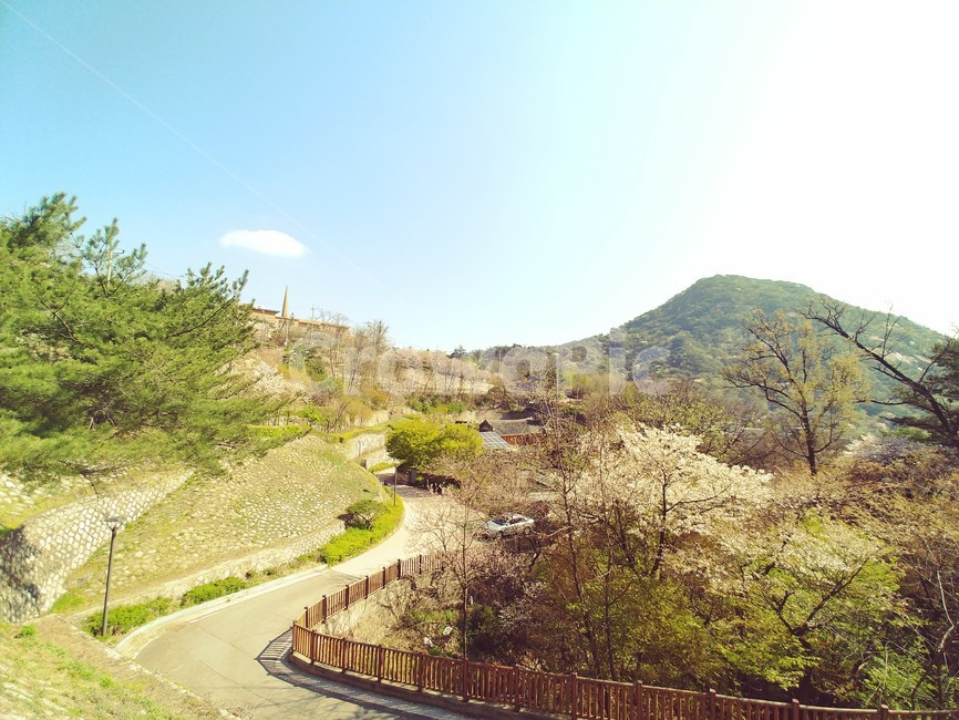 부암동,산,경치,봄,파란하늘