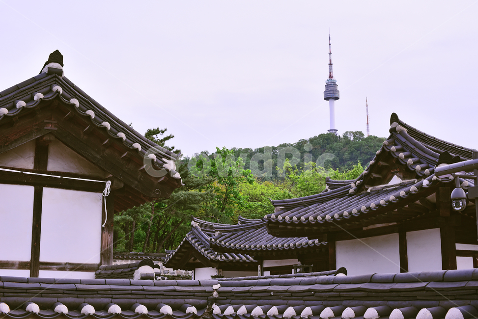 한국전통,한옥마을,민속마을,전통마을,하우스,남산,5월,4월,시즌,계절,season,배경,바탕,백그라운드,기와지붕,traditionalhouse,traditionalpattern,전통패턴,남산타워,기와집,seoul,house,집,마을,village,한국전통,한국문화,korean traditional,korean culture,건축물,건물외관,exterior,building,structure,architecture,construction