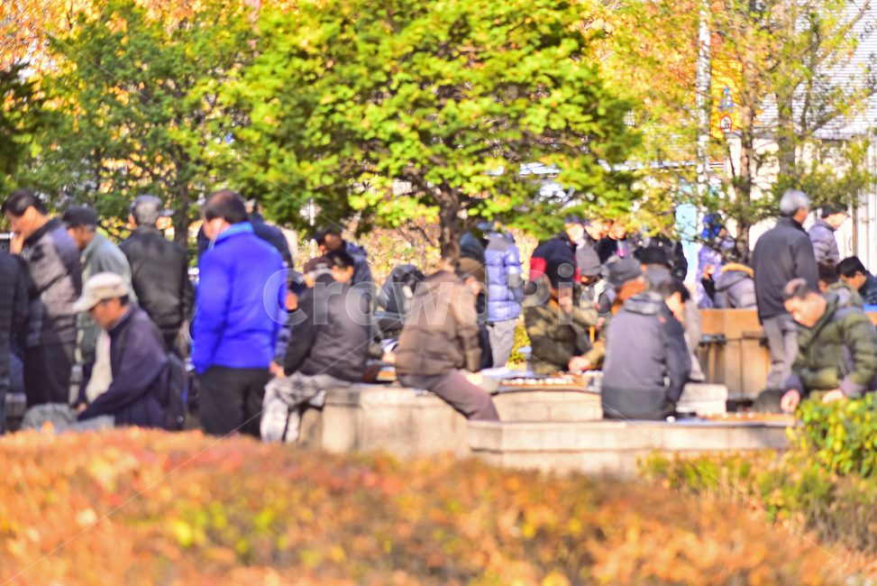 노인,노인네,외로움,고독,쓸쓸함,소외,사람들,장년,노년,silver,노인문제,고령화사회,공원,파크,야외,옥외,outdoor,초고령사회,배경,바탕,백그라운드,사회문제,실버세대,무료함,사람,인물,인간,human,person,노인,어르신,old man, senior citizen