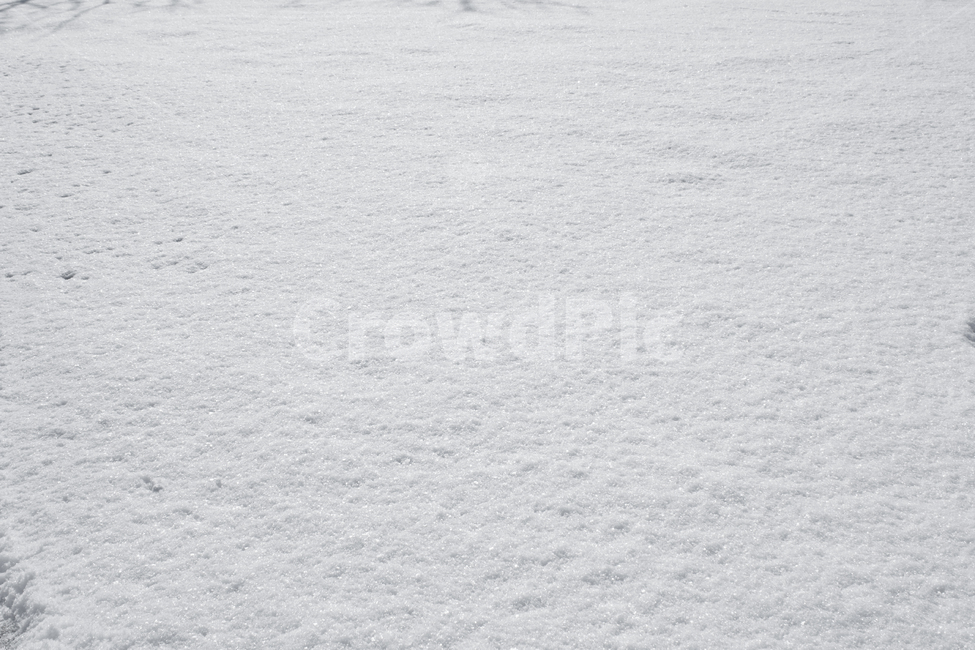 겨울,눈,눈밭,스노우,눈길,눈쌓인,폭설,자연,snow,흰색,화이트,하얀색,표면,설원
