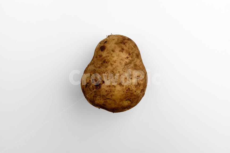 감자,채소,생감자,날것,음식,재료,식재료,음식재료,신선한,딱딱한,전분,잘익은,식품,요리,식사,식물,작물,클로즈업,채식,흙,자른,간식,노란색,맛있는,고소한