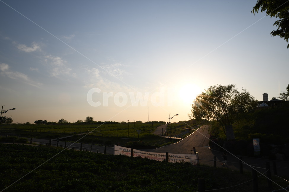 일몰,잔듸,하늘공원,자연,옥외,자연,풍경,nature,landscape