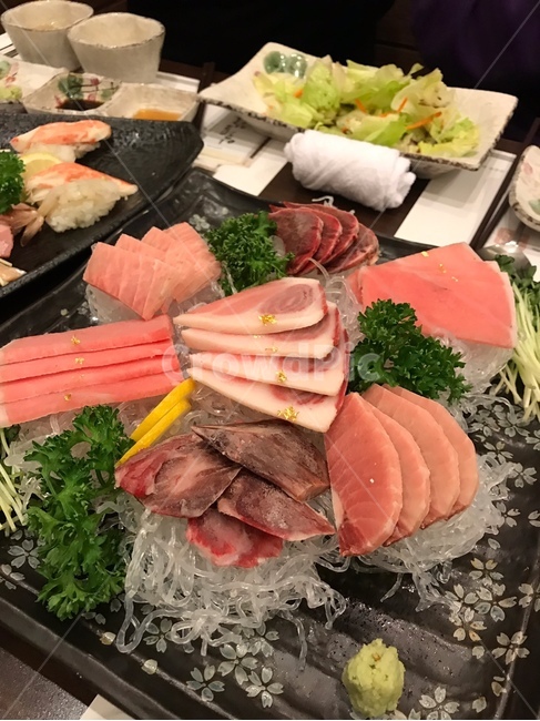 참치,참치회,회,음식,맛집,생선회,생선,물고기,일식,일본식,스시,음식,식재료,요리,food,cook,meal,dishes,food reserves
