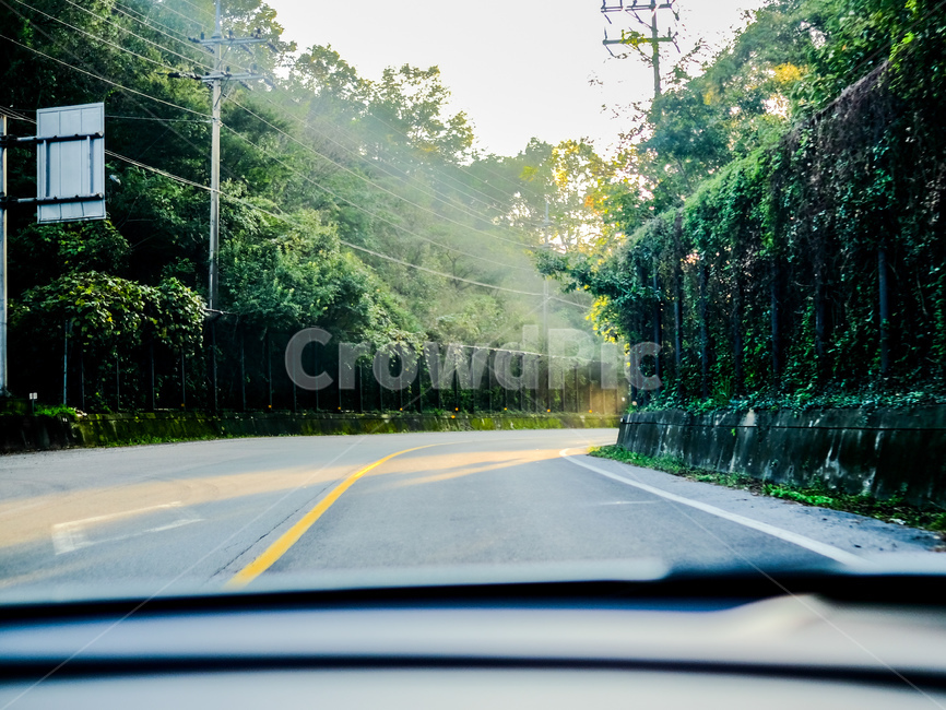 road,도로,커브길,산길,초목,교통,교통수단,traffic,transportation