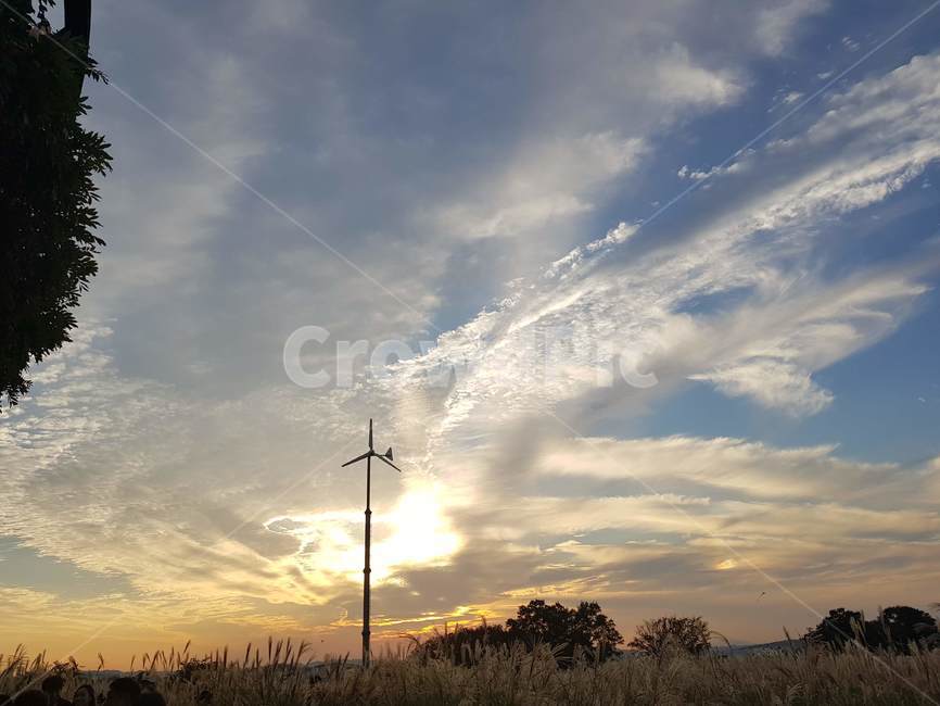 노을,하늘공원,갈대,갈대밭,하늘,노을지는하늘,뒷모습,구름,자연,풍경,nature,landscape,outdoors,옥외