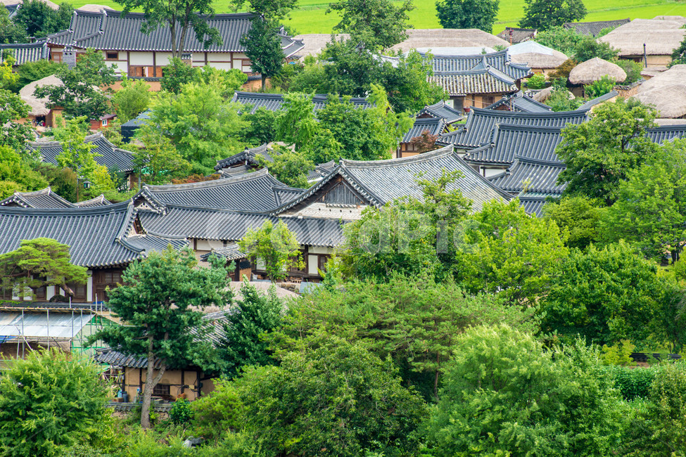 안동,하회마을,민속마을,전통,세계문화유산,한국전통,한국문화,korean traditional,korean culture,건축물,건물외관,exterior,building,structure,architecture,construction