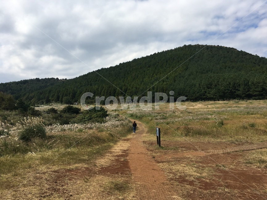오름,제주도오름,제주도가을,억새,가을풍경