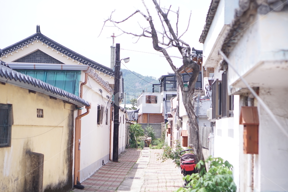골목,주택,길,골목길,건물,도시,풍경,city,landscape,한국도시풍경,한국도시경관,korea cityscape,골목길,alley,road,도로,building,시티,town,urban,어반,street,거리