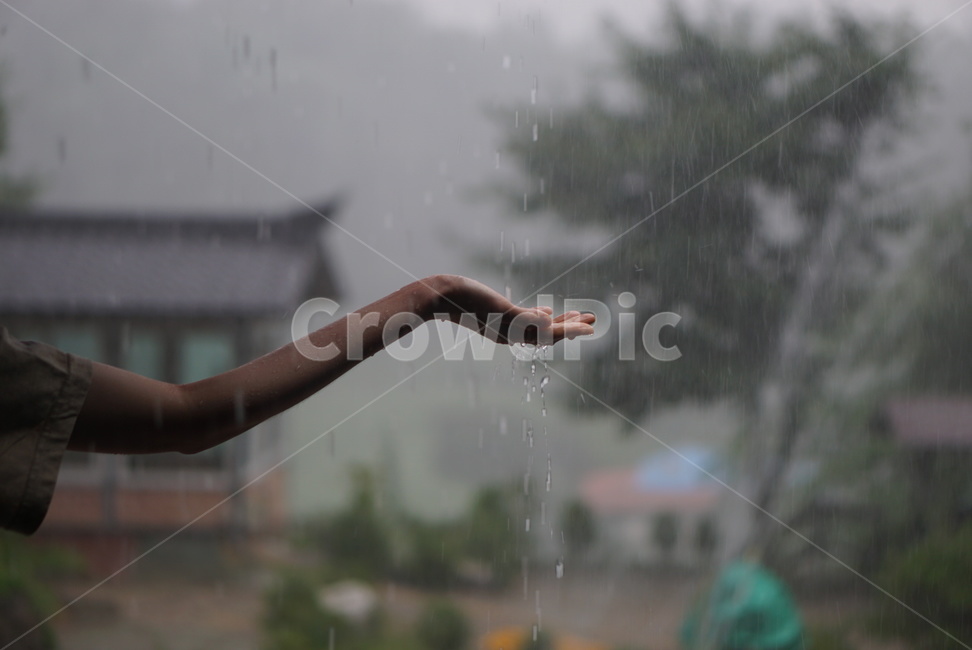 비,빗속,장마,여름,여름비,소나기,주룩주룩,비,비오는날,rain,rainy