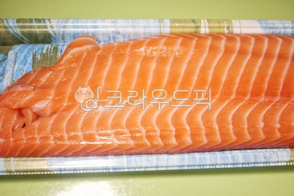 연어, salmon, 연어회, 생연어회, 생연어, 사진,이미지,일러스트,캘리그라피 - SeeOn작가